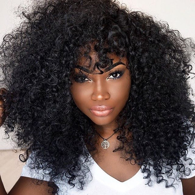 Chic Curl Collection: Global Wig Elegance