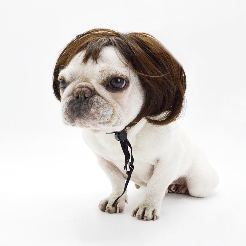 Adog Pet Dog Wig