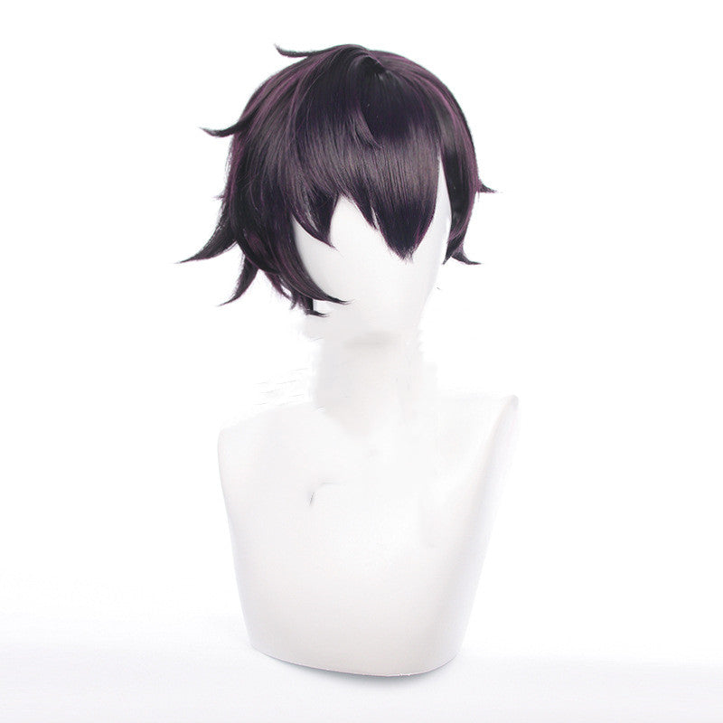 Perruque de cosplay pour hommes, cheveux courts violet foncé inversé