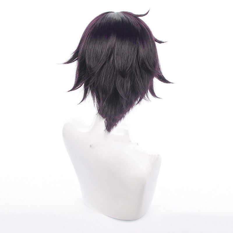 Perruque de cosplay pour hommes, cheveux courts violet foncé inversé