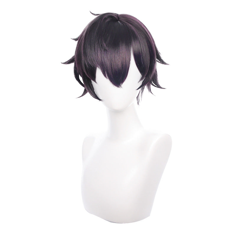 Perruque de cosplay pour hommes, cheveux courts violet foncé inversé