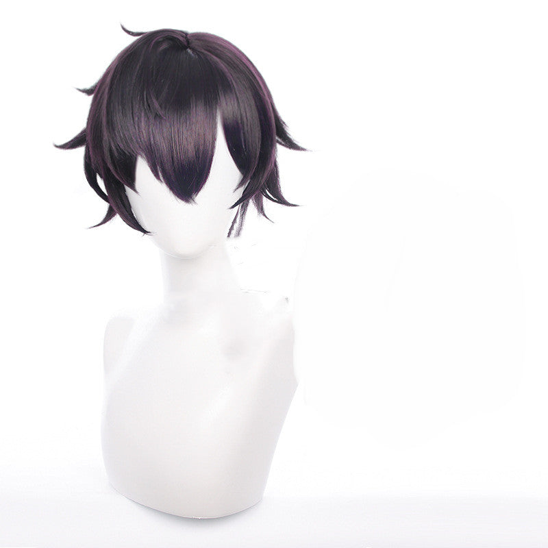 Perruque de cosplay pour hommes, cheveux courts violet foncé inversé