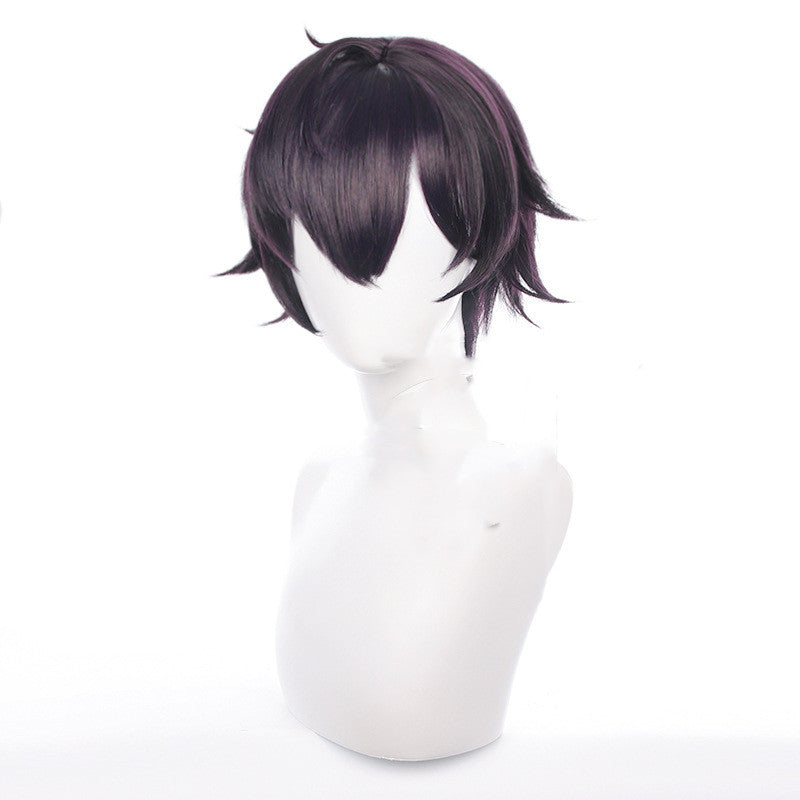 Perruque de cosplay pour hommes, cheveux courts violet foncé inversé